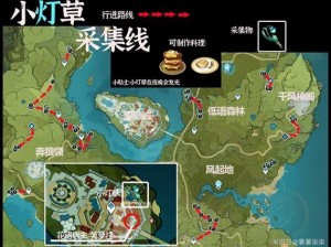 原神采集小灯草：最佳路线解析与实战攻略